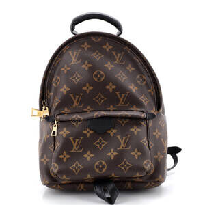 Louis Vuitton Palm Springs Backpack #226515L17B